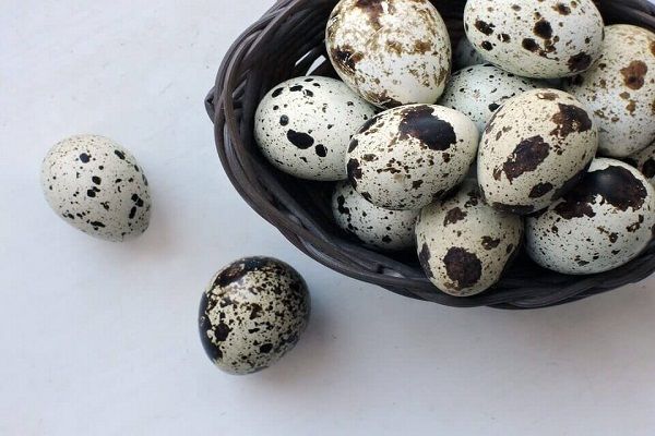 Quail eggs for baby Properties and how to use it for the child