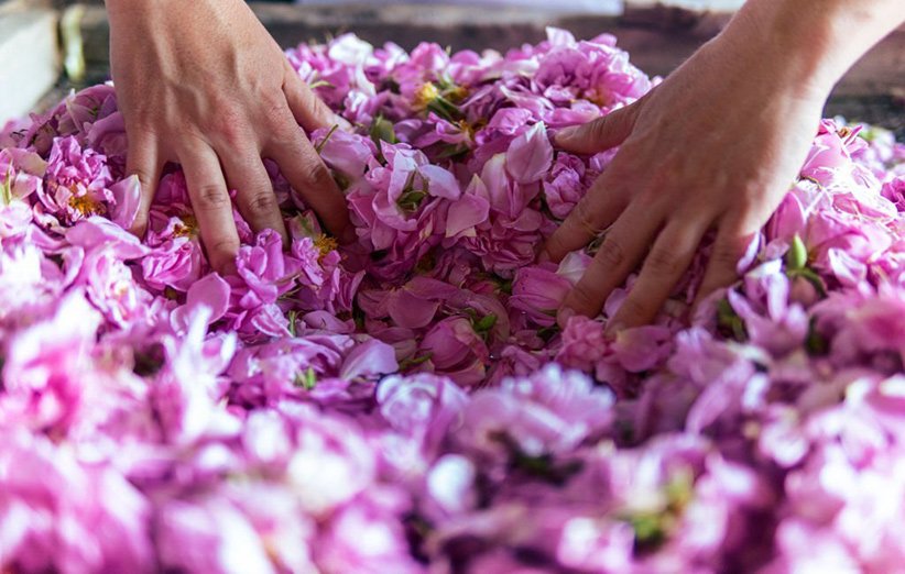 9 of the properties of rose water that have an amazing impact • DigiKala Meg