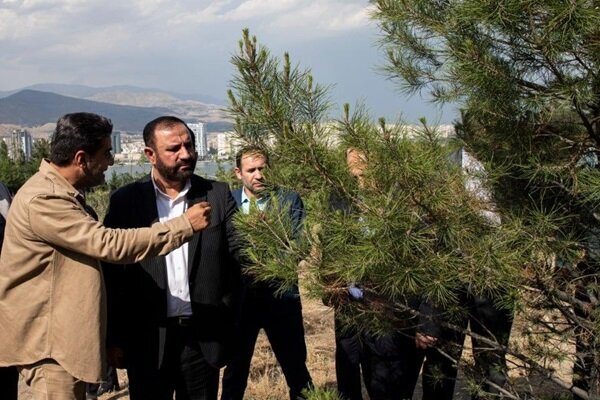 The first hearing of the Diver Martyrs Court and the return of the Iranian nationals to the country