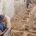 New hall and ritual offering tables unearthed at Vigol fire temple site